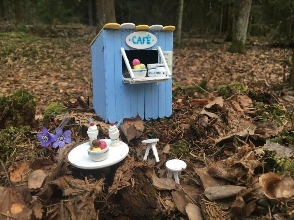 Ett minikafé mitt i skogen. Foto: Sofie Tejre