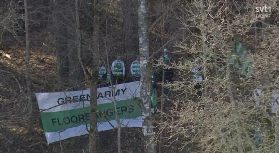 Några VSK-supportrar hade hittat sin plats i skogen bakom läktarplats för att stötta sina grönvita hjältar. Foto: SVT Play