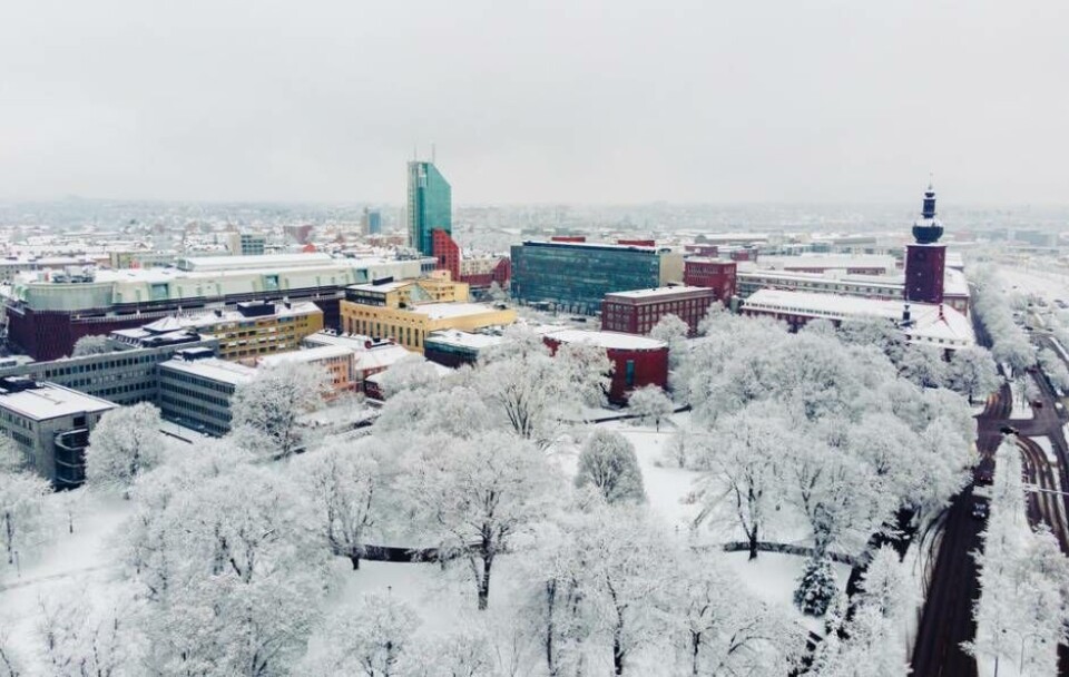 Foto: Avig Kazanjian/avigphoto.se