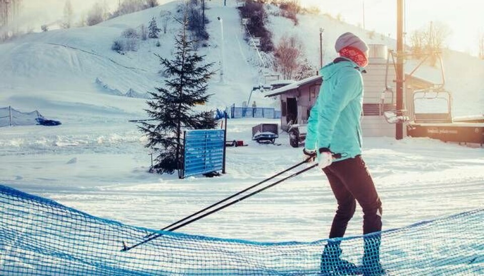 I Vedbobacken är det många som åker skidor både på längden och tvären. Foto: Avig Kazanjian