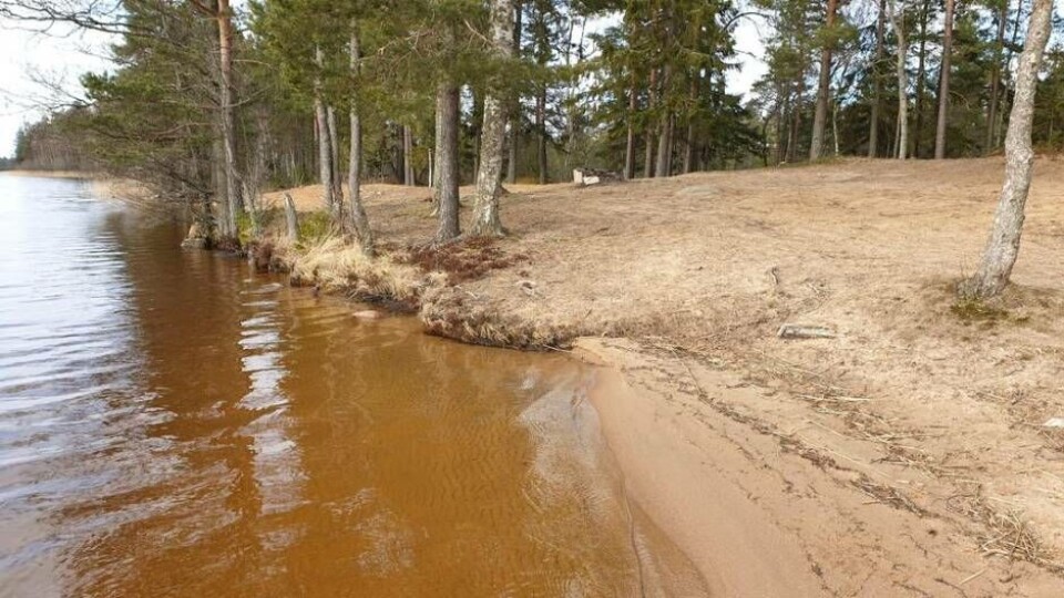 Inbjudande plats vid Kolbäcksån längs Virsboåsen. Foto: Mårten Berglind/Länsstyrelsen