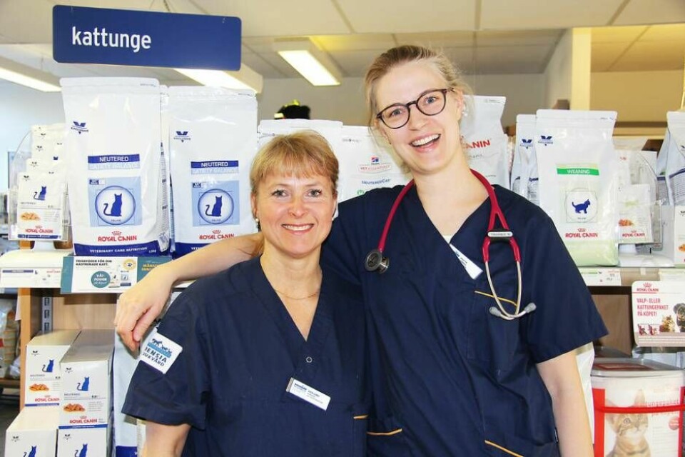 Klinikchef Eva Lund och veterinär Brigitta Stenvall berättar om kastration av katt. Foto: Helena Andersson