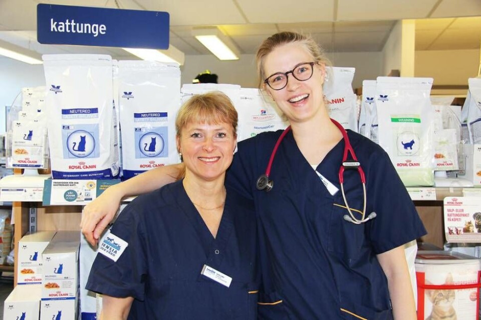 Klinikchef Eva Lund och veterinär Brigitta Stenvall berättar om kastration av katt. Foto: Helena Andersson Klinikchef Eva Lund och veterinär Brigitta Stenvall berättar om kastration av katt. Foto: Helena Andersson