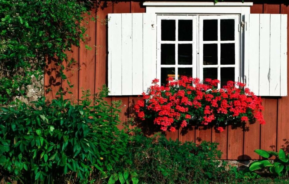 LÅGT UTBUD. Det är få fritidshus till salu i år mot andra år. Foto: MOSTPHOTOS