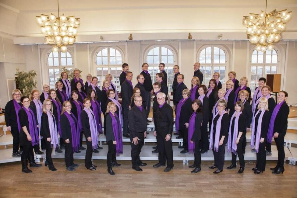 ABB-kören firar 70 år med en jubileumskonsert i Konserthuset 18 november. Foto: Maria Gradin Öijer