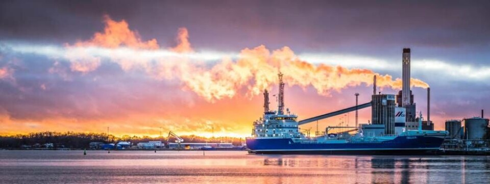 Foto: Rikard Jörnesten