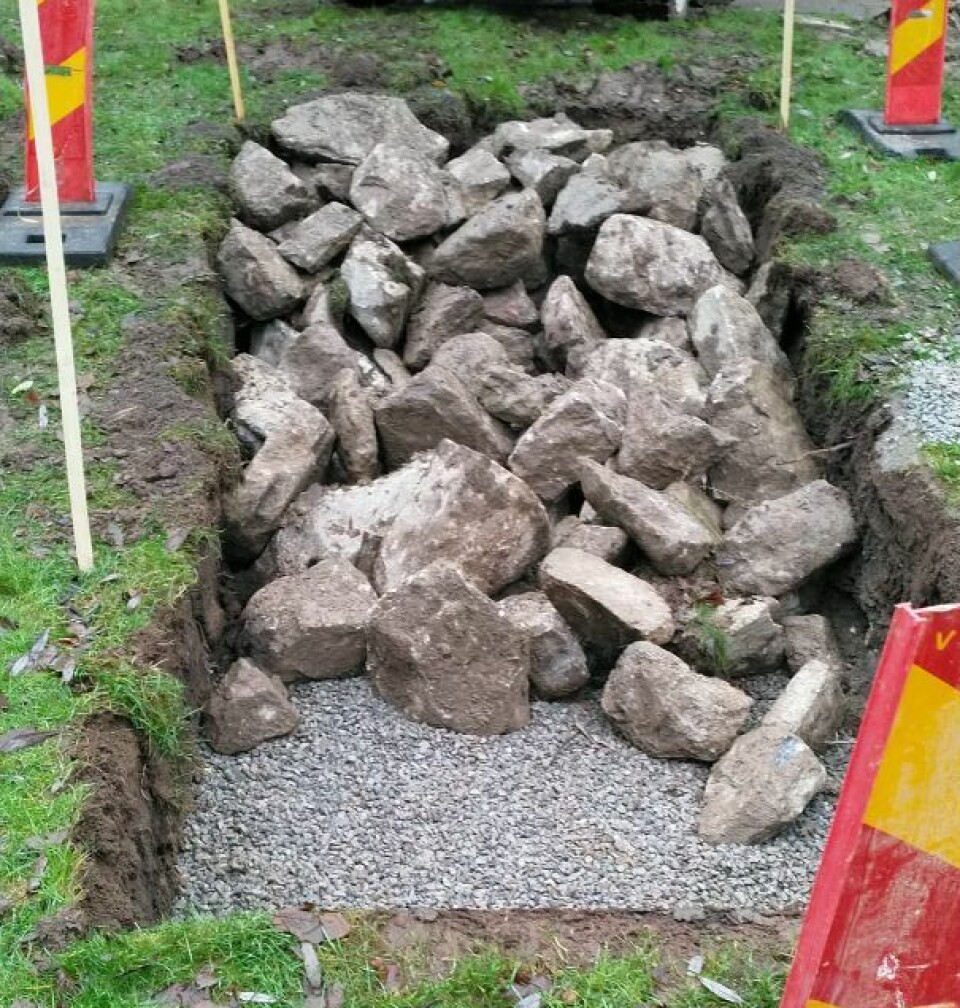 Det nya grodhotellet.
