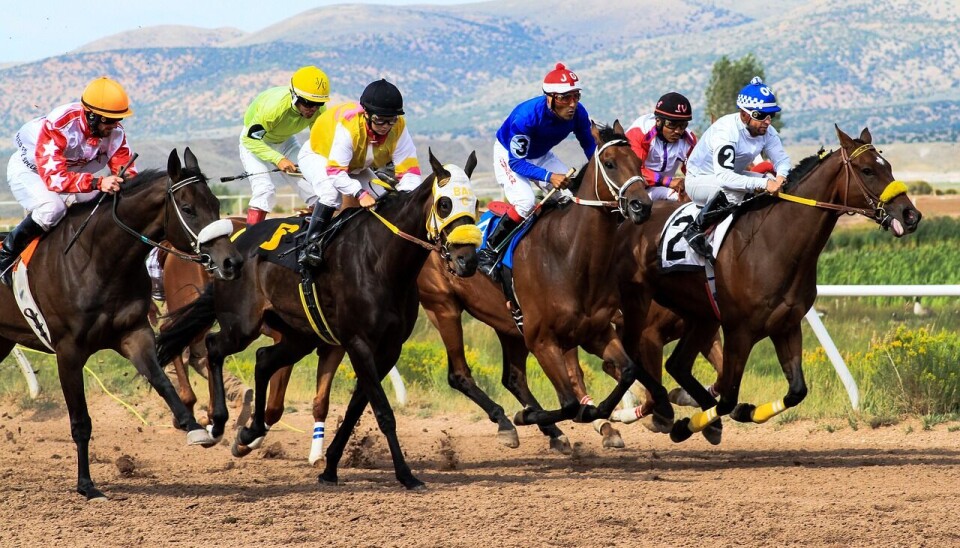 Betting – hur fungerar det?