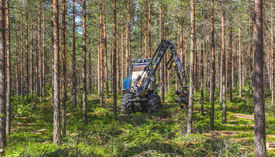Skördare som gallrar i en skog. Detta är en genrebild. Skördare som gallrar i en skog. Detta är en genrebild.