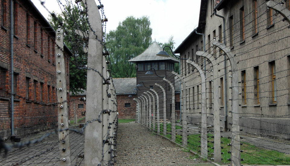 Auschwitz befriades den 27 januari 1945.