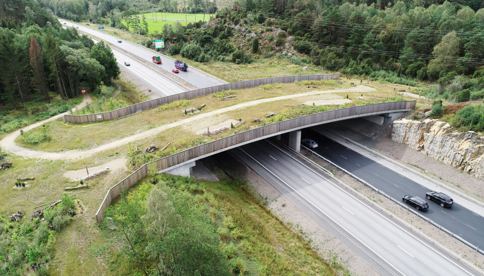 Faunapassagen ska kunna användas av större djur så de kan ta sig över motorvägen. Här från en passage över E6 vid Sandsjöbacka. Faunapassagen ska kunna användas av större djur så de kan ta sig över motorvägen. Här från en passage över E6 vid Sandsjöbacka.