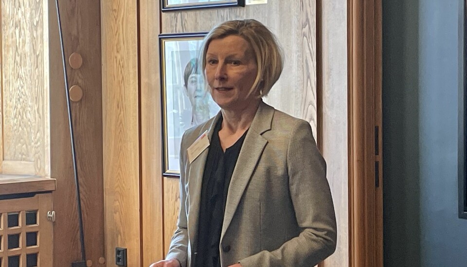Västerås stadsdirektör Helene Öhrling, ordförande i Ruth Randall Edströms stiftelse, berättade om stiftelsen.