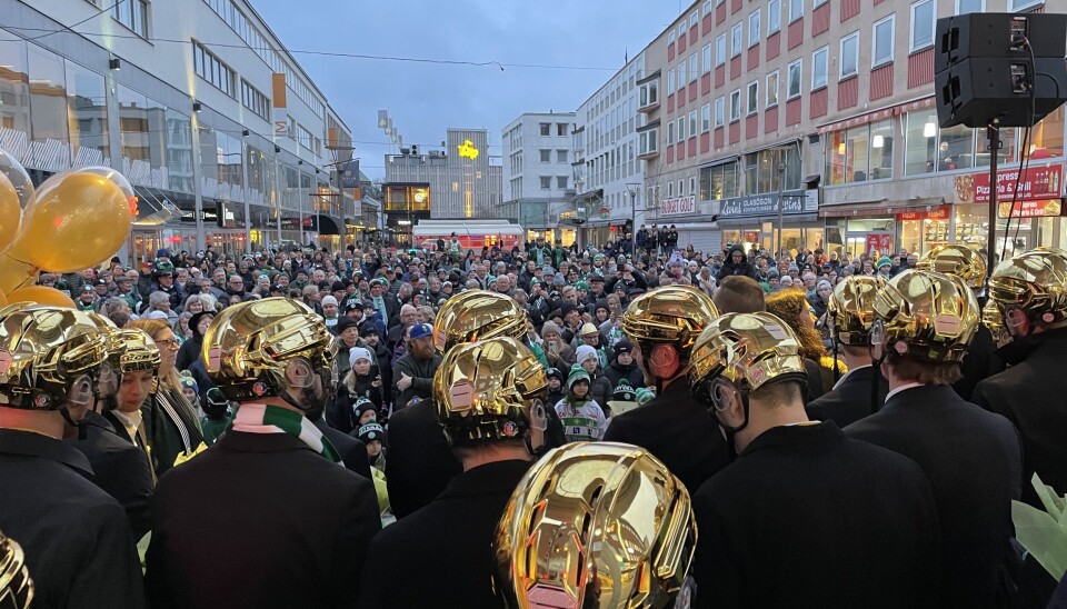 Guldhjälmar och ett grönvitt folkhav. Guldhjälmar och ett grönvitt folkhav.