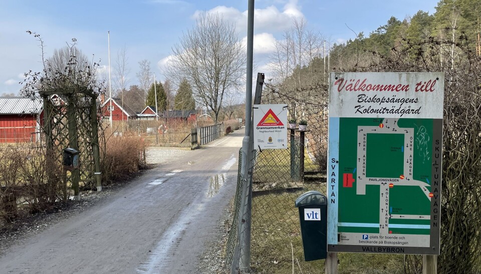 Biskopsängens koloniområde i Västerås.