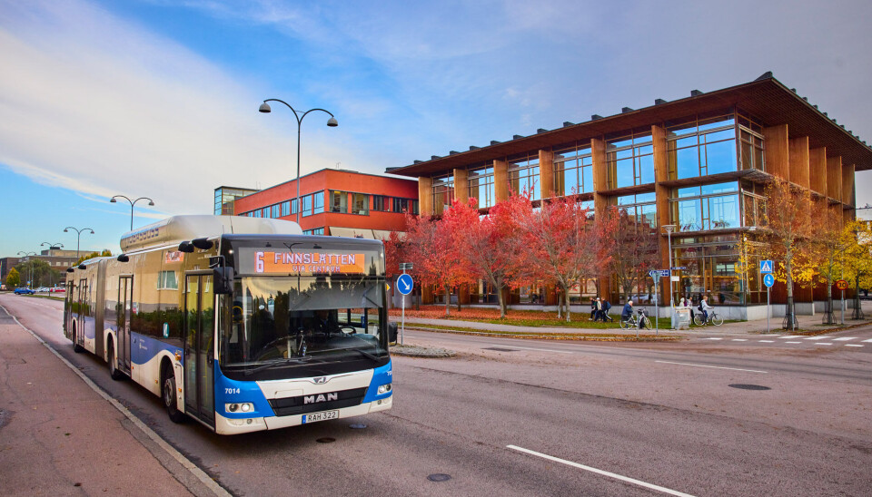 Utöver linje 6, 2 och 21 kommer två extrabussar att sättas in mellan Rocklunda och Västerås central under lördagens bandyfinal.