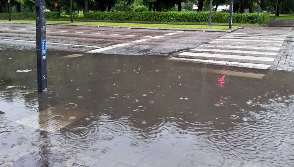 Det har regnat kraftigt senaste tiden – och regnandet väntas fortsätta.