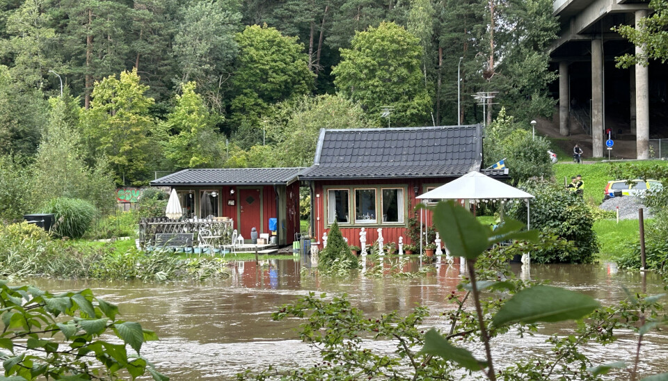 Översvämning på koloniområdet. Översvämning på koloniområdet.