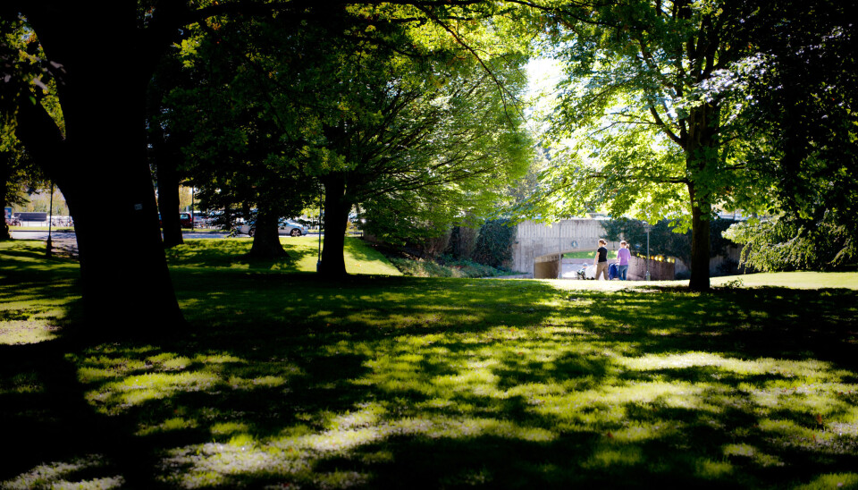 Vasaparken är ett av många grönområden i Västerås.