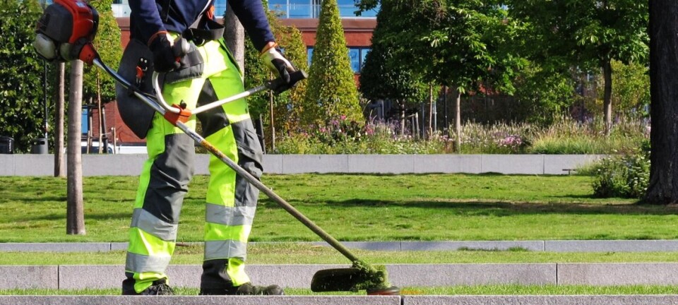 Ännu fler skolelever kommer att erbjudas sommarlovspraktik nästa sommar.