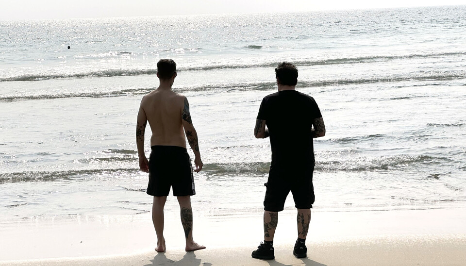 Strandhäng vid arabaiska havet.