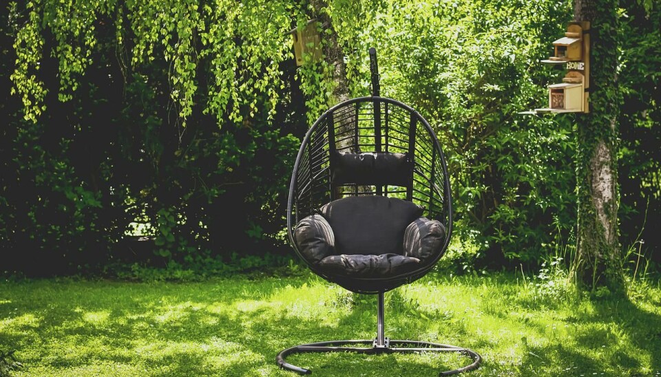 Smygkika på sommarens nyheter
