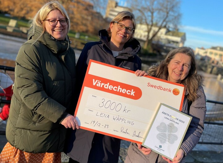 Vicki Skure-Eriksson (C), gruppledare, Lena Wäppling och Reidun Andersson, kretsordförande (C).