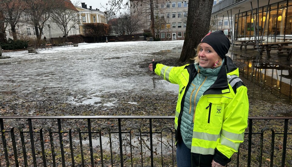 Ny uppgift. Ingela Isaksson och hennes kollegor ska väcka nytt liv i Botaniska trädgården.