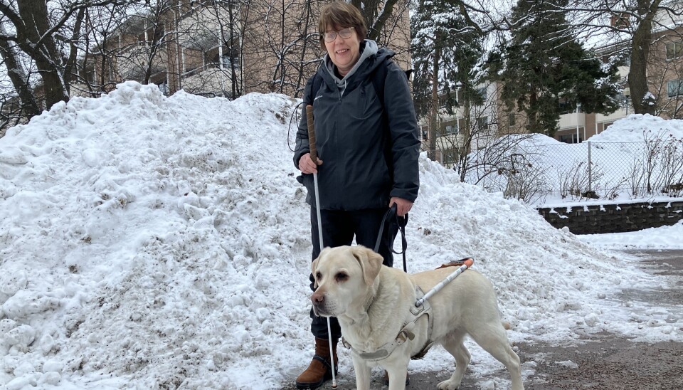 Hjälpsam hund. Åsa Blom är gravt synskadad och har haft labradoren Boston vid sin sida i åtta år, nu går han i pension.