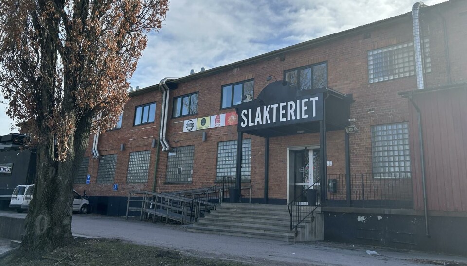 Går mot en ny vår.