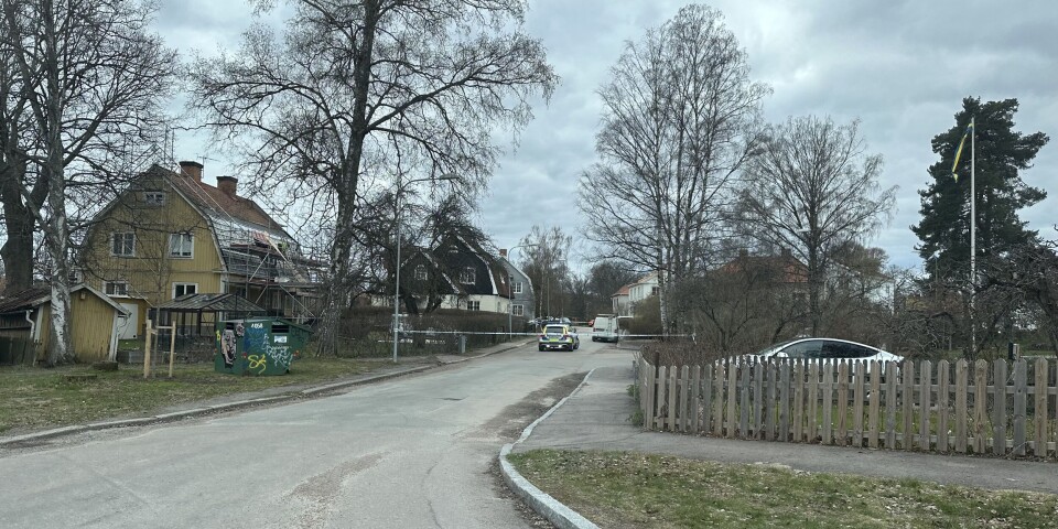 Polisen grep den misstänkta gärningsmannen på Kristiansborg. I samband med gripandet sköt polisen verkanseld mot mannen.