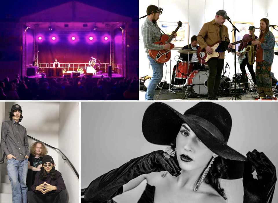 På två scener under två dagar på Västerås Officersmäss kommer 22 lokala band spela, bland andra Ärtor & Löv, Three Dead Fingers och Cajsa Frangquist som alla ses här.