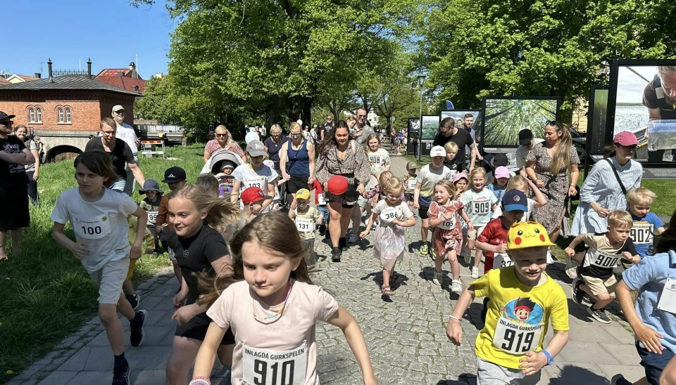 Västerås Friidrott var med på Barnfestivalen och arrangerade ett löplopp för barn.