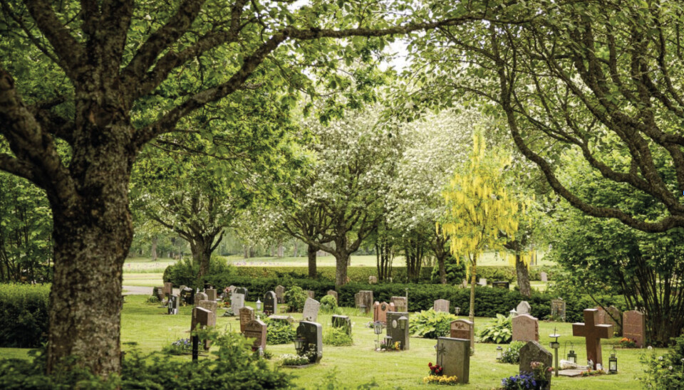 15–16 juni – jubileumsdagar. Hovdestalund fyller 100 år i år och det ska firas ordentligt.