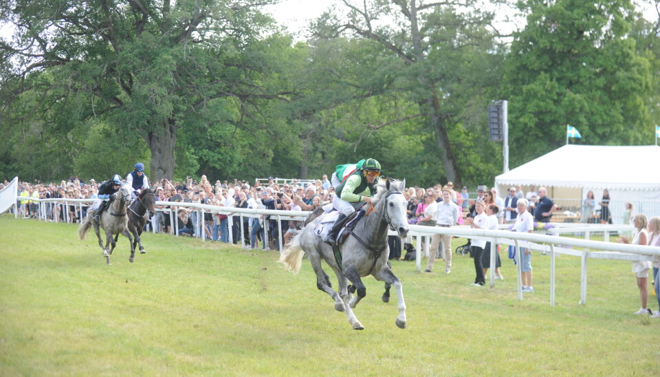 Monsieur Vic och Kevin Parkin vann Svenskt Champion Hurdle.