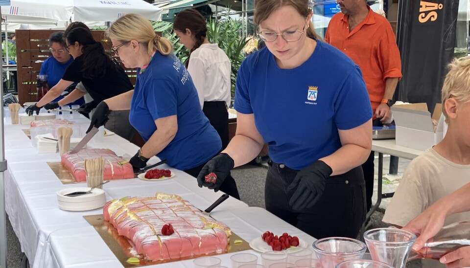 500 bitar prinsesstårta dukades fram för att serveras till hugade västeråsare.