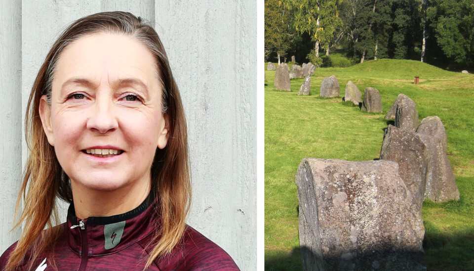 Chefar. Nina Eklöf kommer närmast från Riksantikvarieämbetet på Gotland där hon arbetat med frågan om hur de ska kunna öka regionala och kommunala museers attraktivitet.