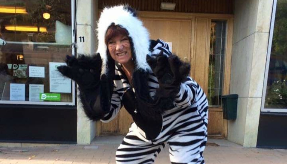 Kattkunnig. Kim Lindbom Carlsson, katthemsansvarig på Huskatten Västerås. Kattkunnig. Kim Lindbom Carlsson, katthemsansvarig på Huskatten Västerås.