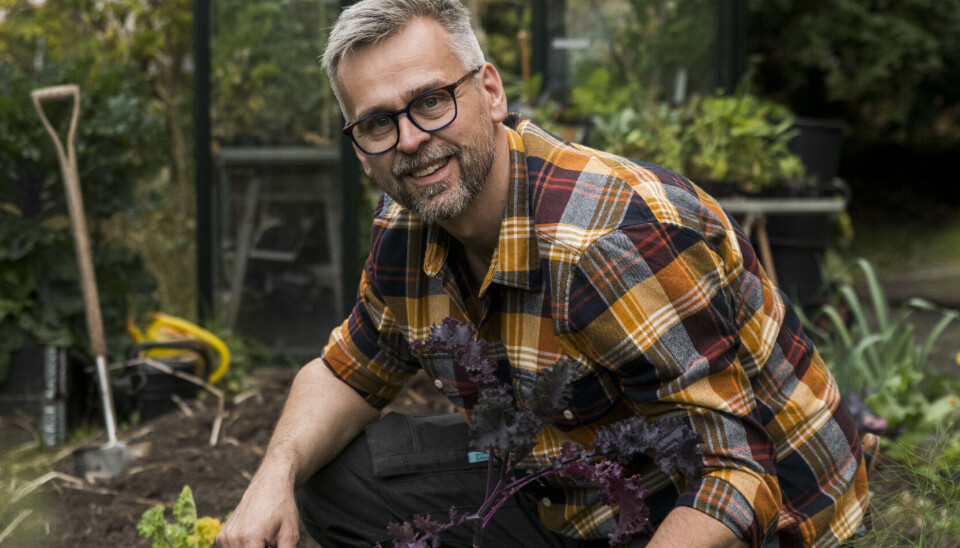 Snigelslaktare. Johannes Wätterbäck, skapare av bloggen 'Farbror Grön', har lyckats få bukt med de flesta sniglarna i sina odlingar. Snigelslaktare. Johannes Wätterbäck, skapare av bloggen 'Farbror Grön', har lyckats få bukt med de flesta sniglarna i sina odlingar.