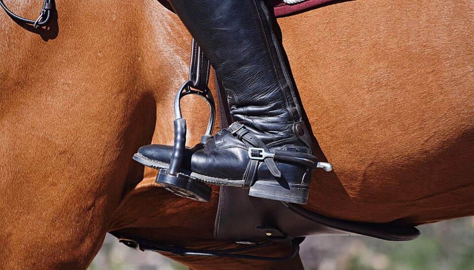 Detta är en genrebild.