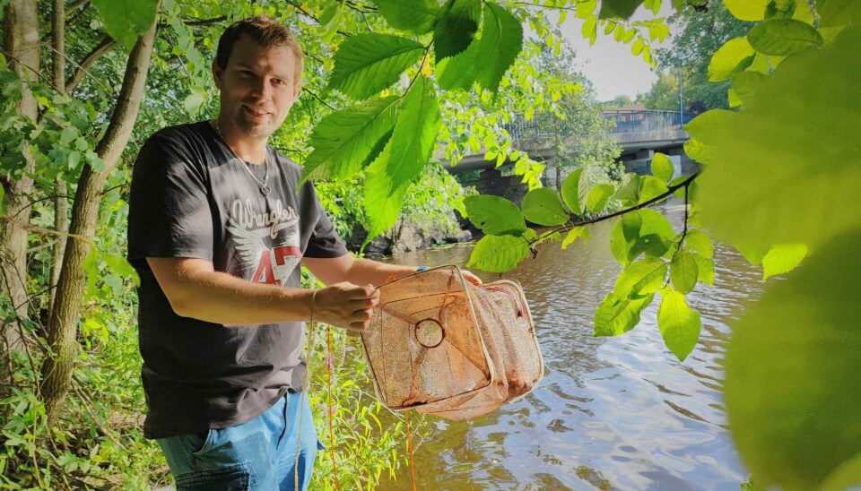 Ansvarig. Patrik Zvar kan besvara frågor om kräftfisket.