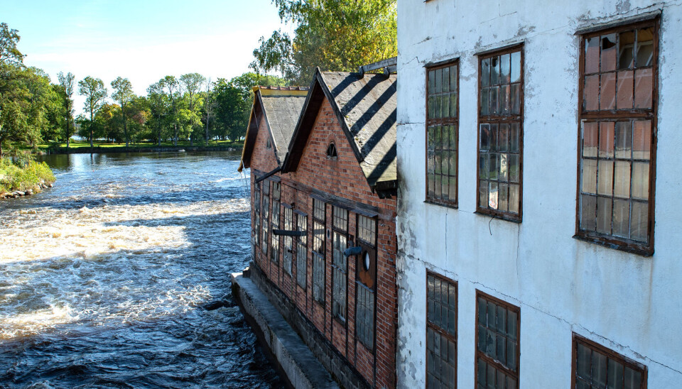 Virsbodagen är större på flera sätt i år.