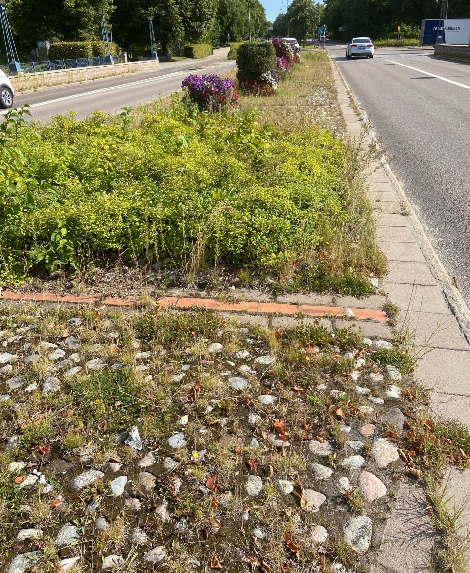 M vill sätta stopp för ogräset i Västerås