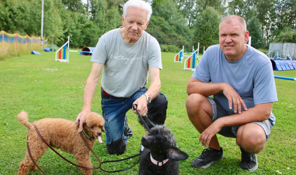 Får flytta. Västerås Kennelklubbs ordförande Thorbjörn Johansson, kassör och kursledare Mikael Nilsson samt dvärgpudlarna Mini och Trolla.
