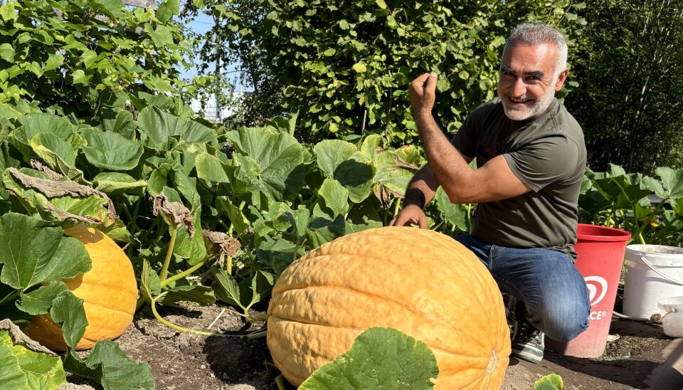 Tävlingsbidrag. Pumpan som Salih Aslan tävlar med i år väger omkring 70 kilo.