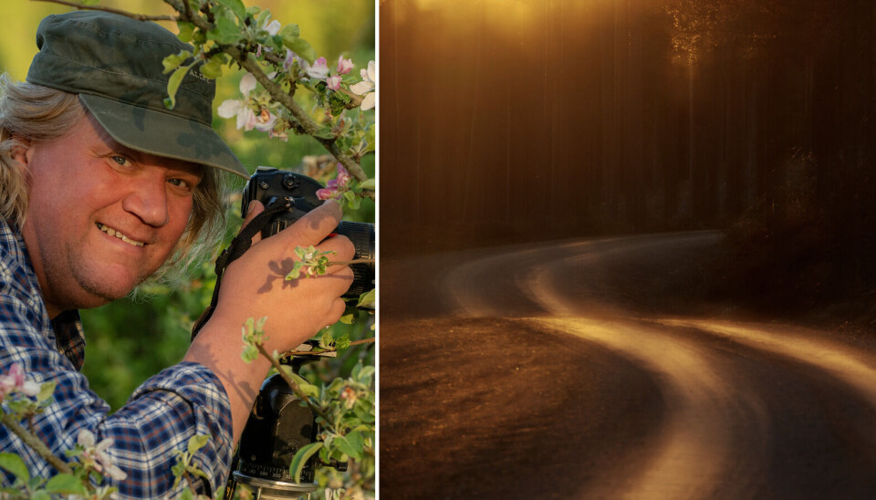Naturefoto i fokus. Tre dagars festival med tävlingar och utställningar väntar i bland annat Surahammar och Virsbo.