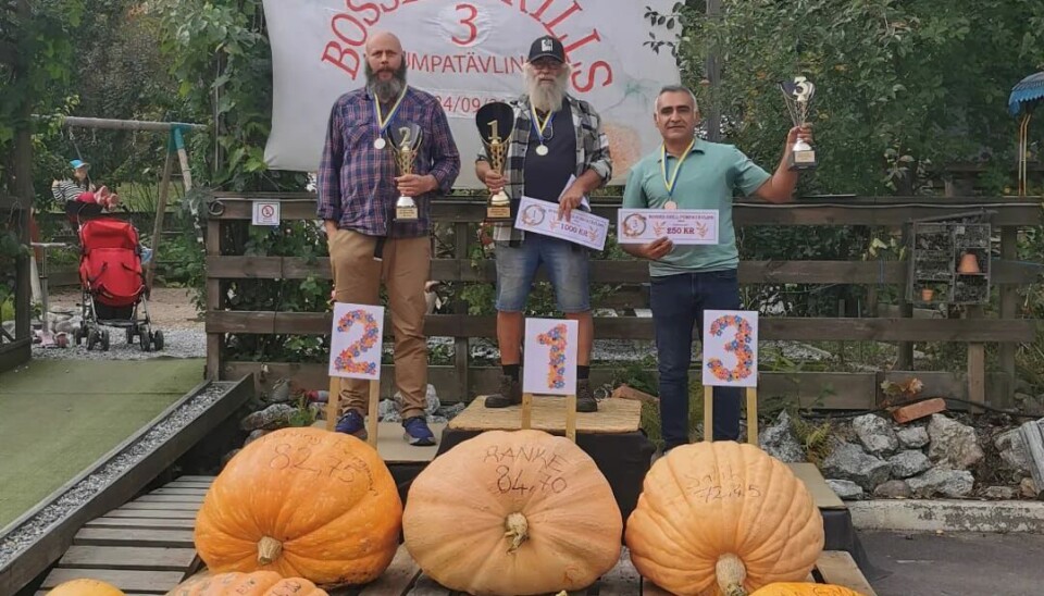 Vinnarpallen. De tre tyngsta pumporna vägde sammanlagt 239 kilo.