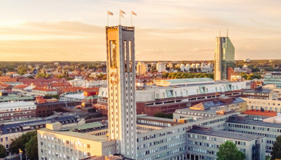 Morgonrapporten: Klart med ny miljö- och hälsodirektör