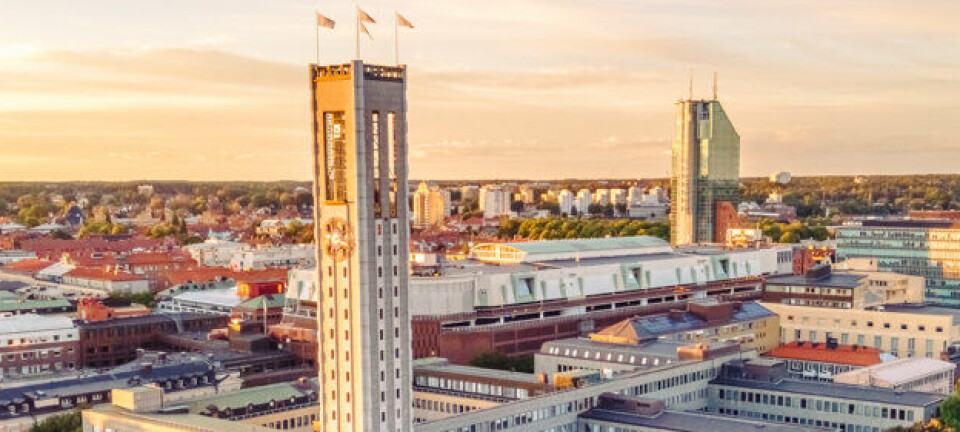 Morgonrapporten: Fönsterbleck stulna från sjukhusbyggnad