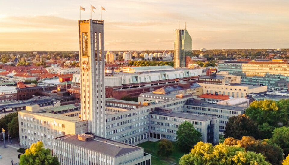 Morgonrapporten: Över 25 000 personuppgifter läckta efter cyberattacken