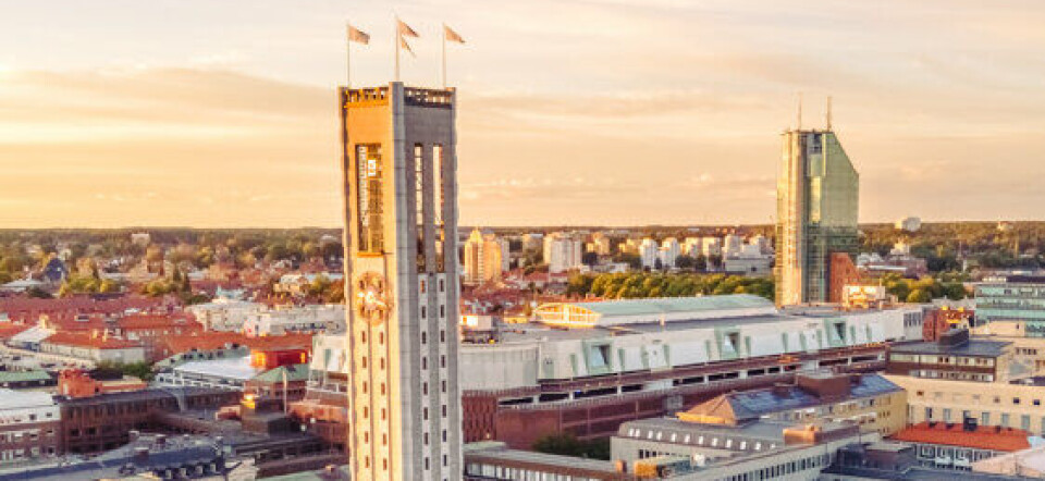 Morgonrapporten: Polisens Julfrid-insats ska minska våld i hemmet